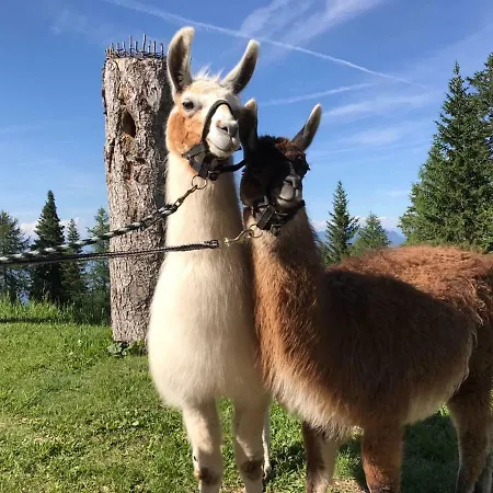 Rifugio Dosso Larici Fai della Paganella